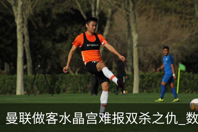 曼联做客水晶宫难报双杀之仇 数据示1-1战平